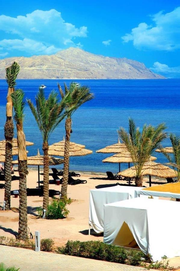 Hotel Domina Coral Bay Diving Casino Sultan 5*