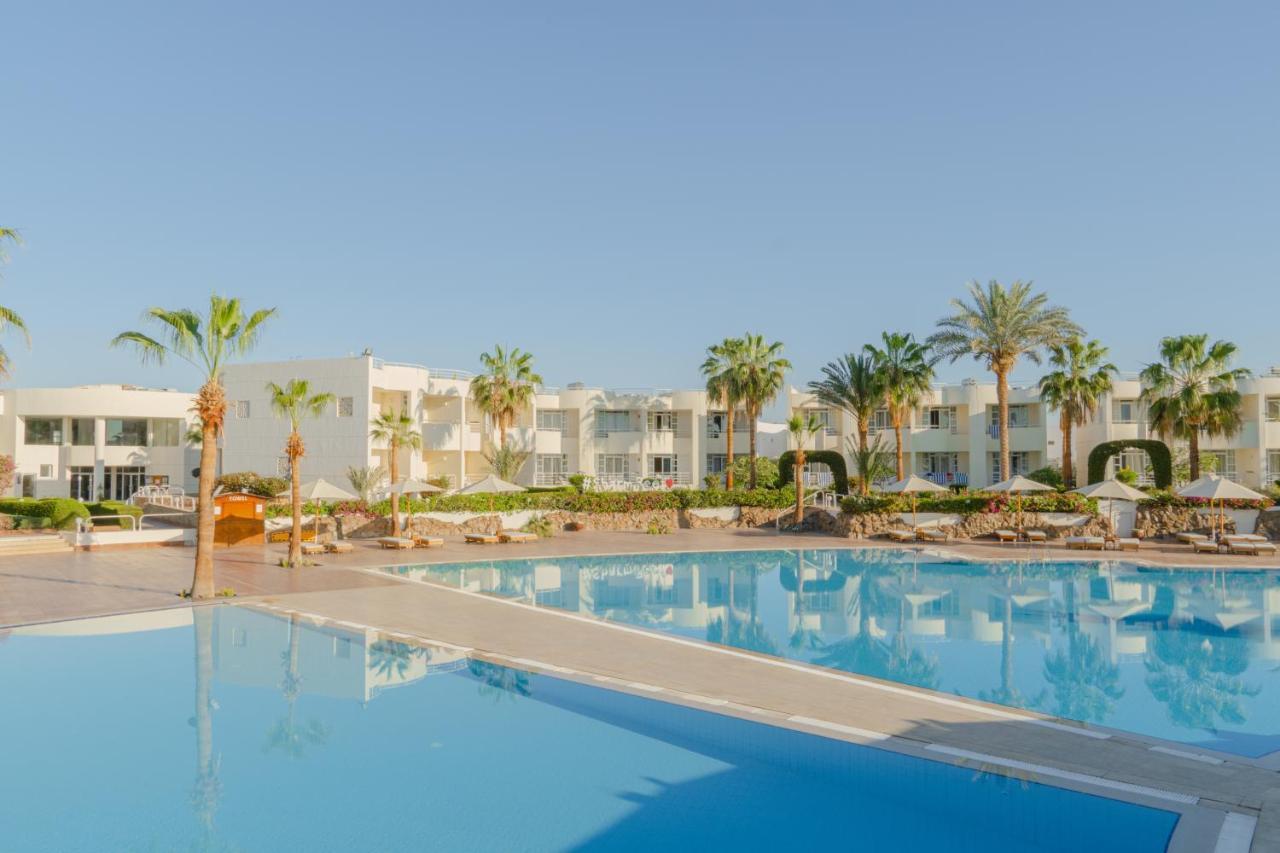 Reef 4* Sharm el-Sheikh