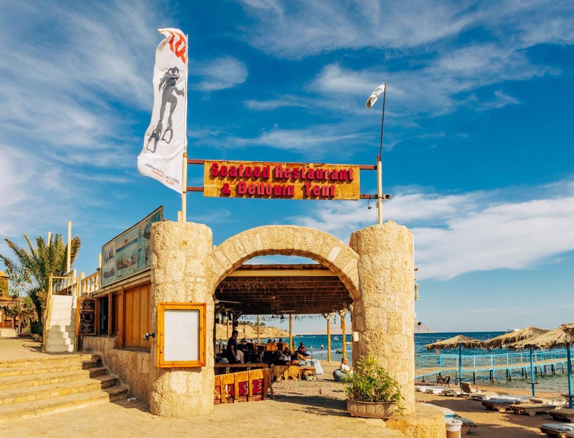 Umbi Sharks Bay Diving Village Complex Sharm el-Sheikh