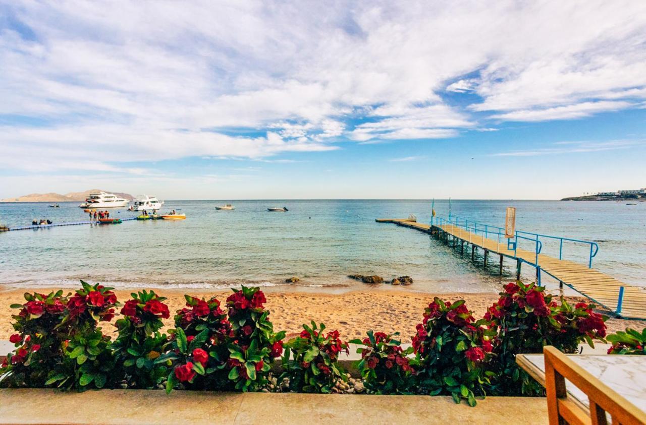 Complex Umbi Sharks Bay Diving Village 3*
