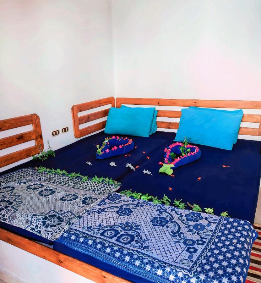 Ghazala Hostel