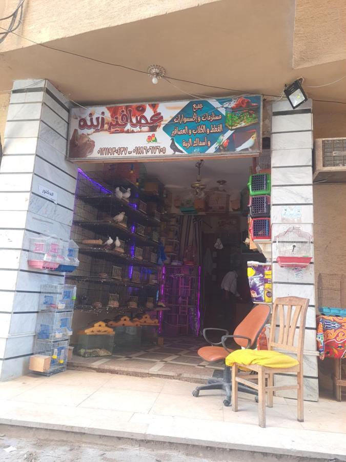 Sea View 3 Bedrooms 3 Toilets 3rd Floor Free Wifi Bellevue Village Agami Families Are Preferred Available Year Days Daire *