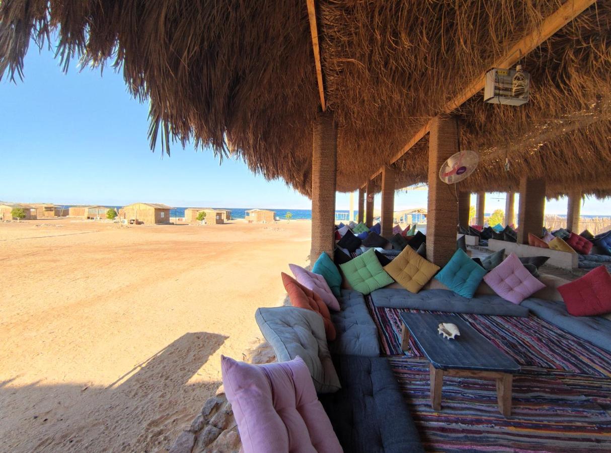 New Droub Camp