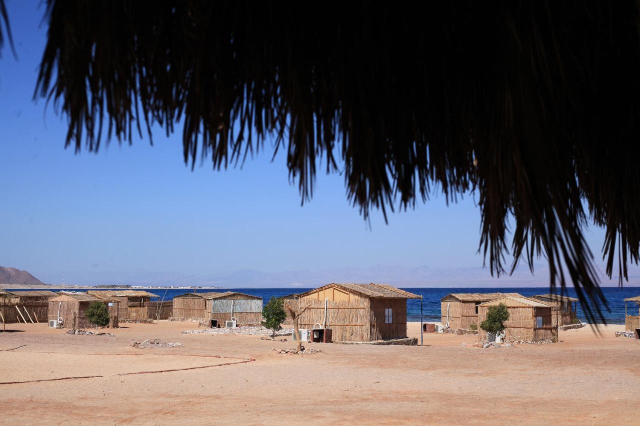 New Droub Camp *
