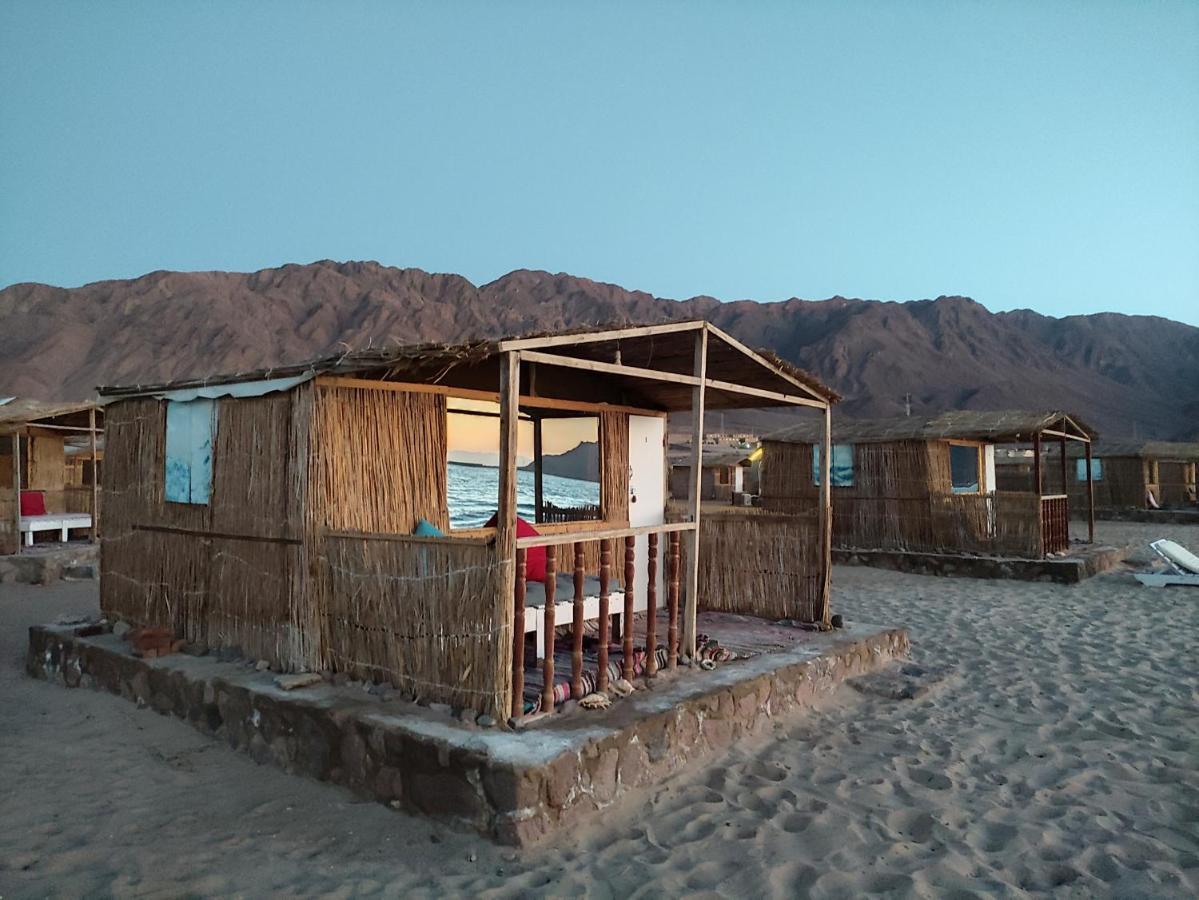 New Droub Camp