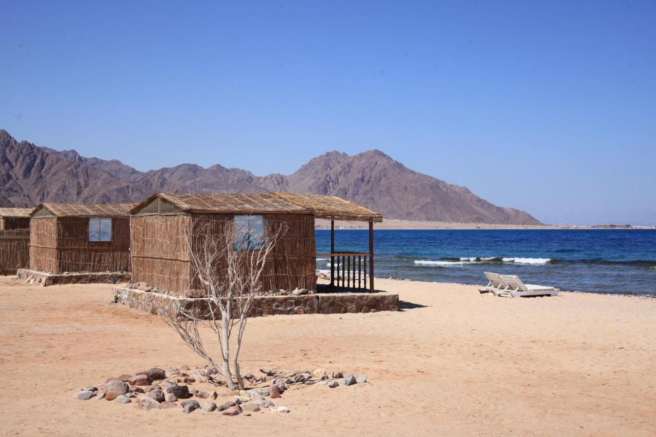 New Droub Camp Hotel Nuweiba