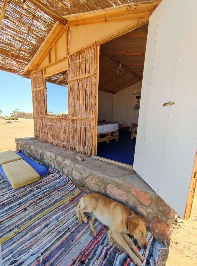 Hotel New Droub Camp *
