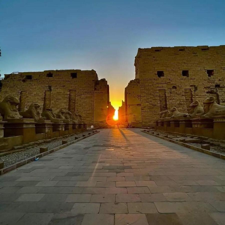 Nile Cruise To Aswan Every Monday, Thursday And Saturday And Trip To Abo Simple 5* Luxor