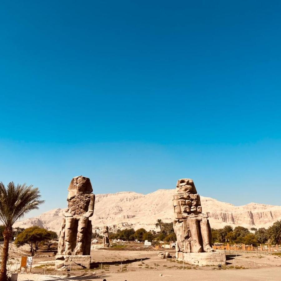 Hotel Nile Cruise To Aswan Every Monday, Thursday And Saturday And Trip To Abo Simple