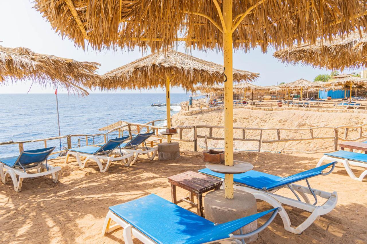 Reef Sharm el-Sheikh
