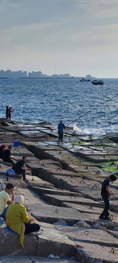 هوليداي * Alexandria