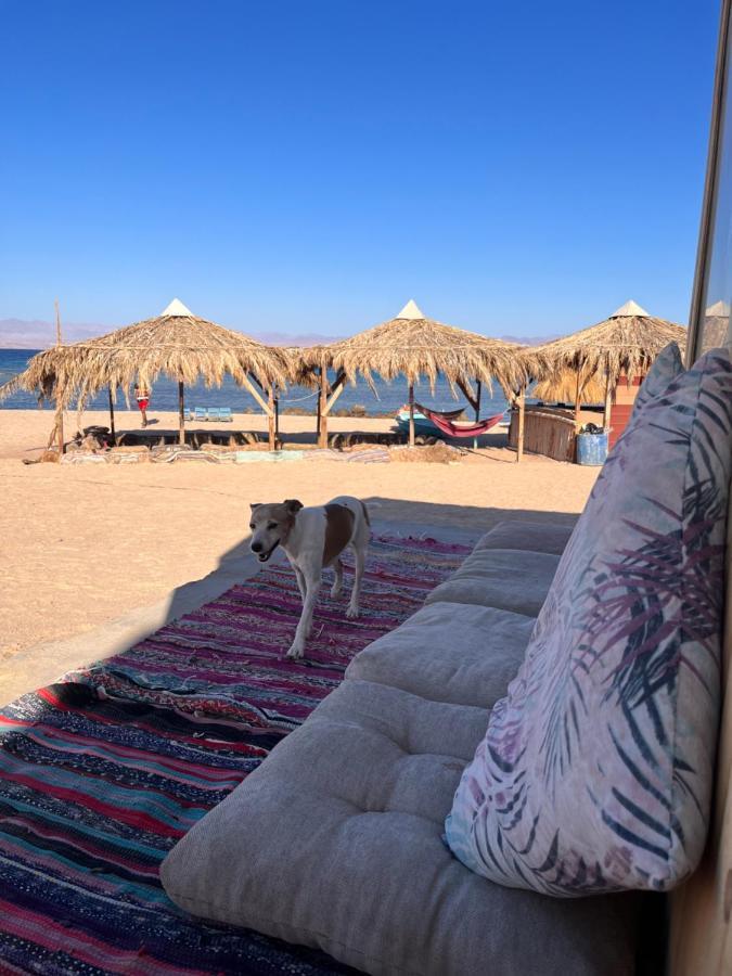 Resort Abdo Caribbean Camp *