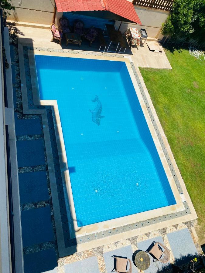 Lovely 5- Bedroom With Overflow Pool With Garden At Oasis Villa Alexandria