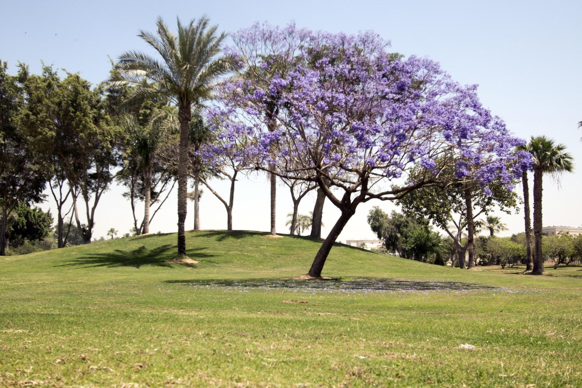 Swiss Pyramids Golf 5*