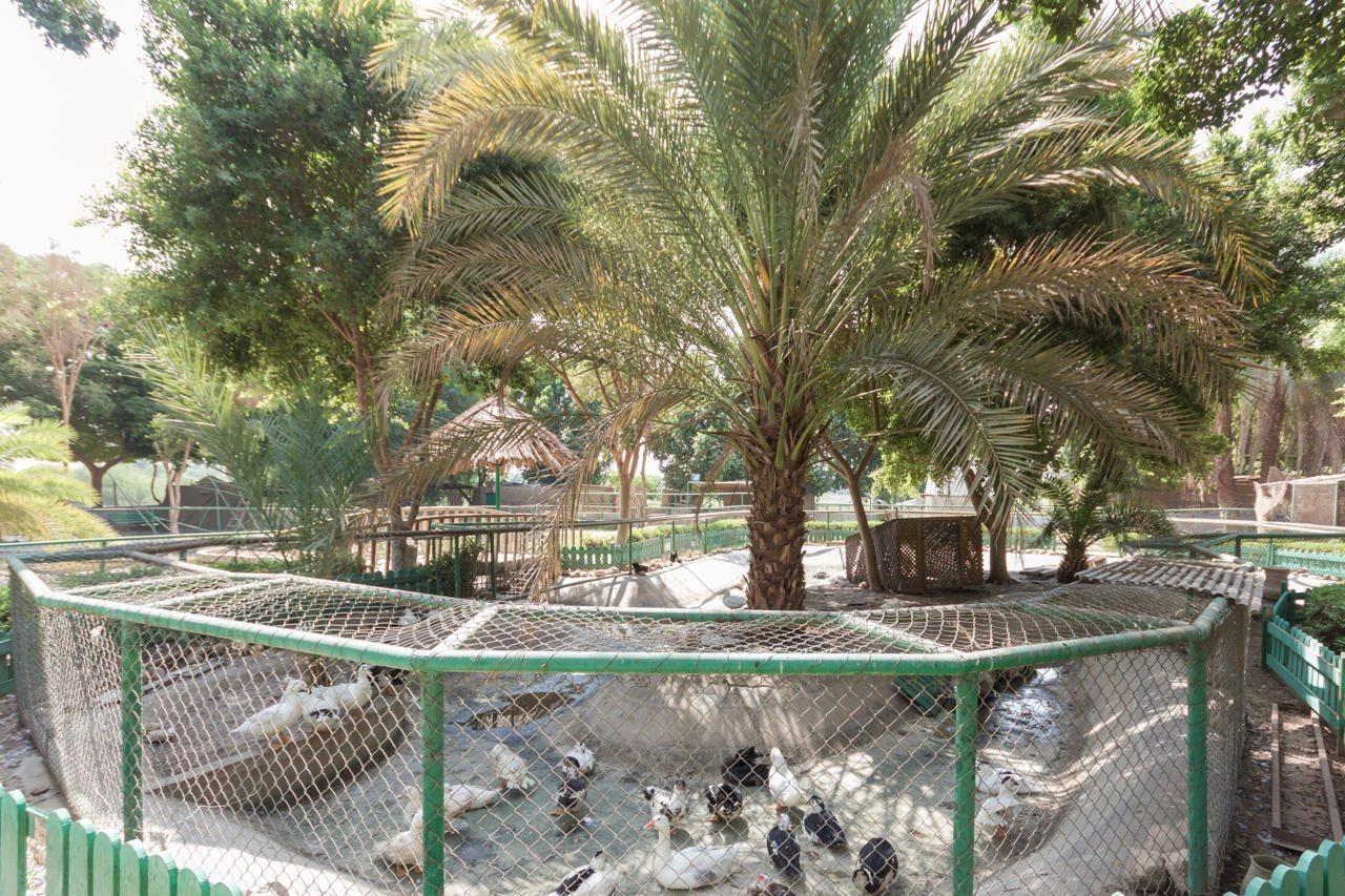Jolie Ville Hotel & Spa Kings Island Luxor 5*