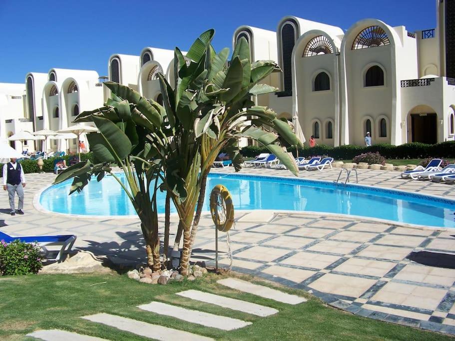 Apartment Buki-gravity-homes: Seaview In 5-star Gravity Sahl Hasheesh