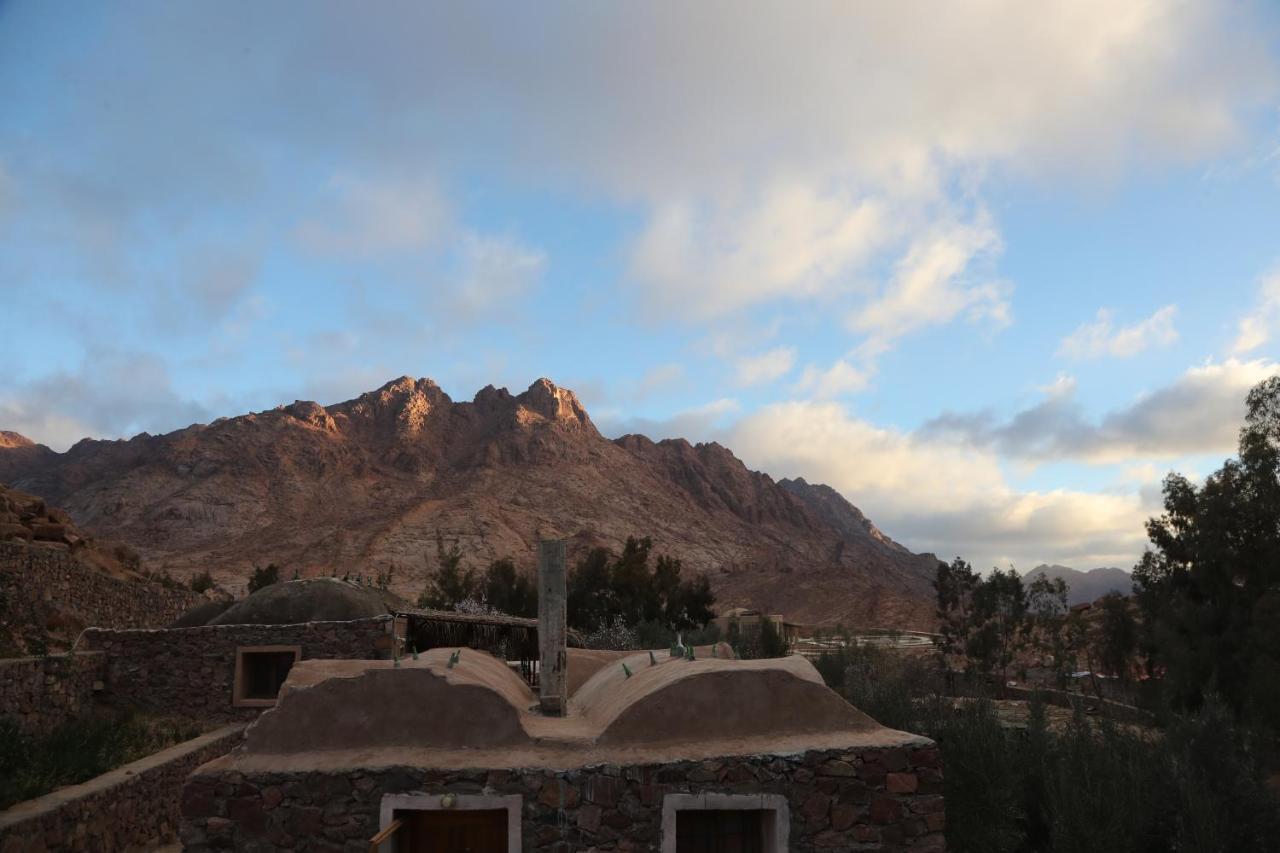 Fox Camp Saint Catherine