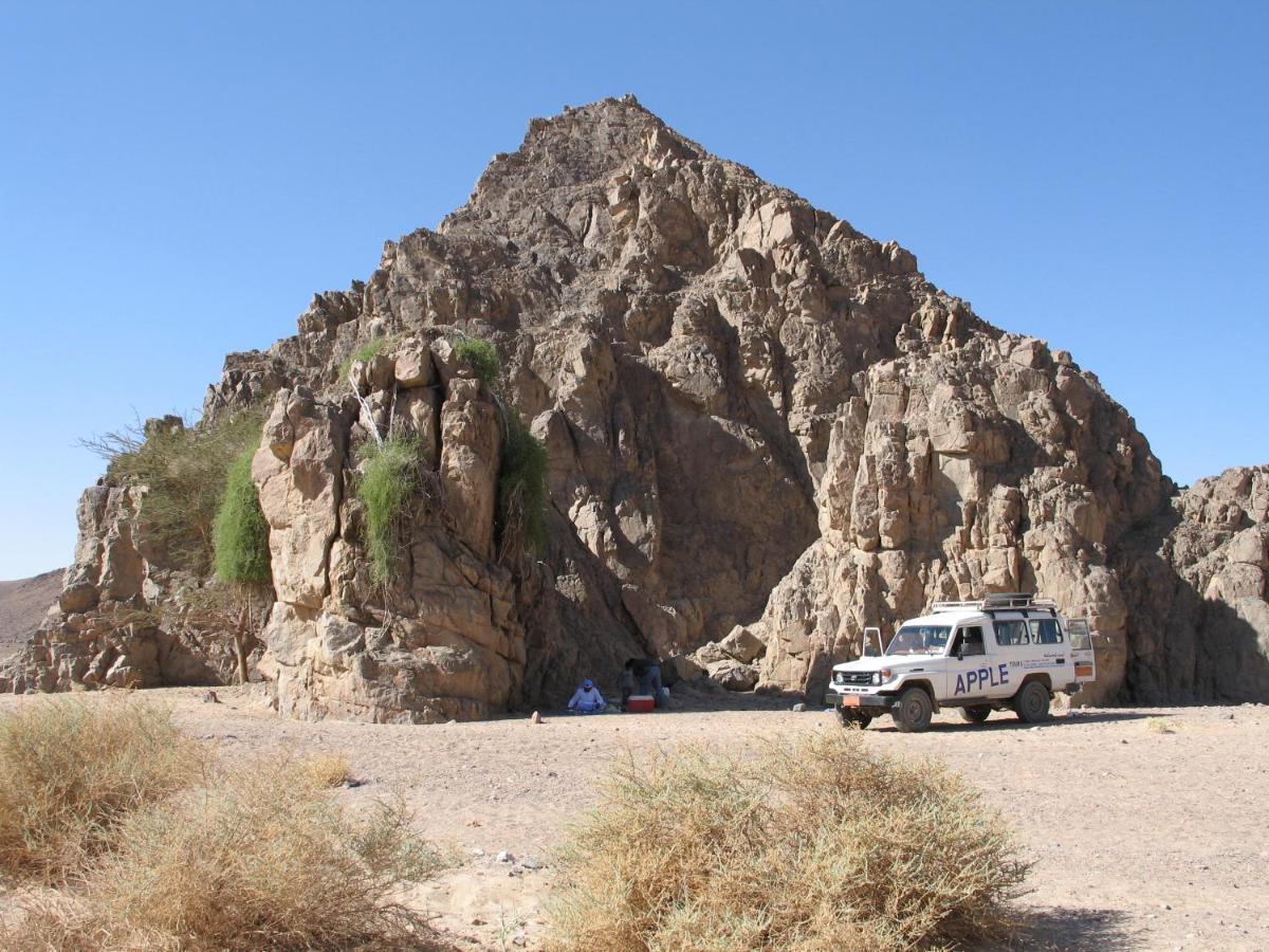 Fox Camp Saint Catherine