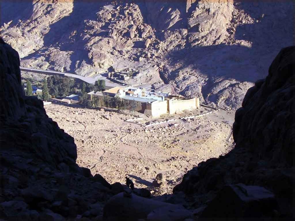 Fox Camp * Saint Catherine
