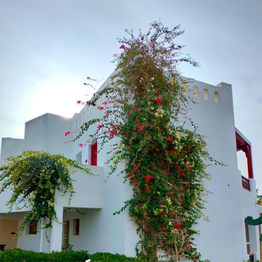 The Pearl Of @ Delta Apartament