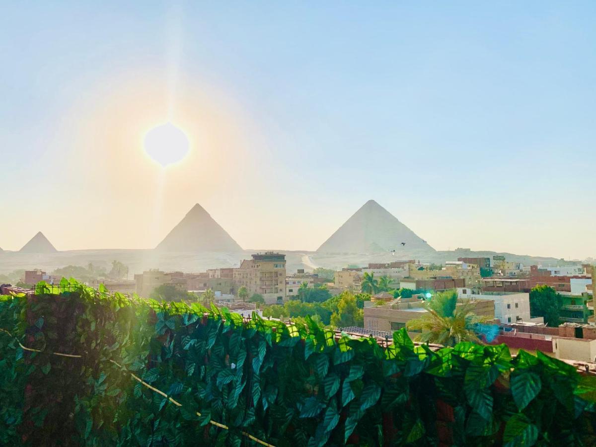 Loay Pyramids View