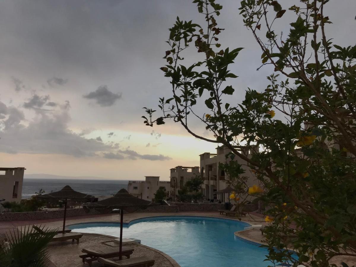 Sea View -sunnydahab Apartment *