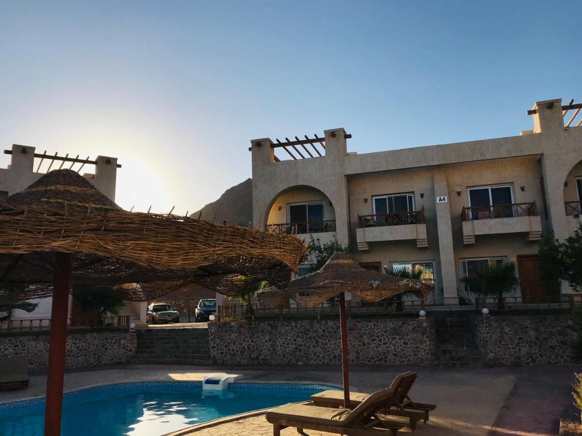 Sea View -sunnydahab Apartment