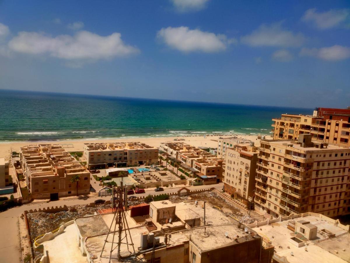 View Free Wi-fi * Alexandria
