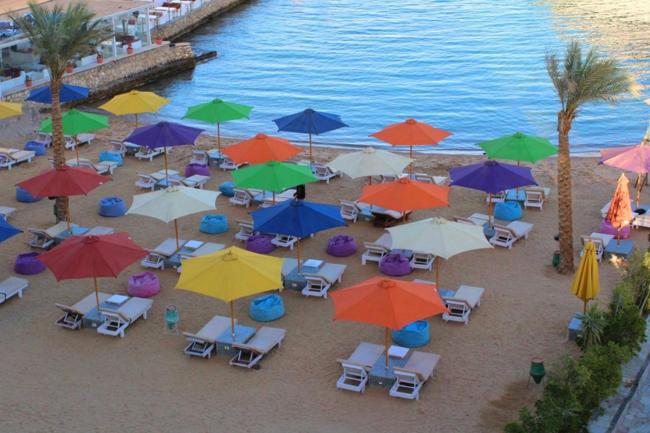 Shellghada Blue