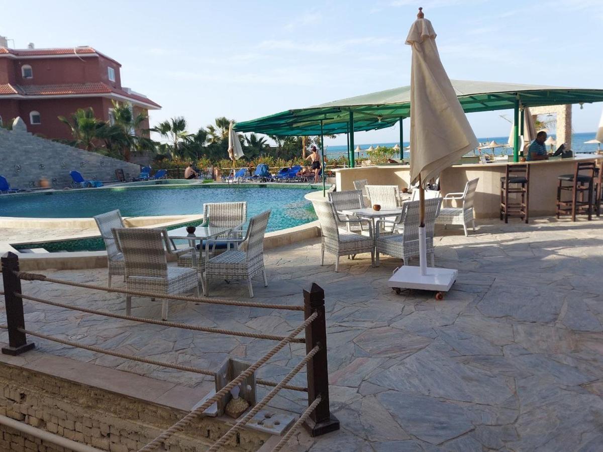 Resort Turtles *