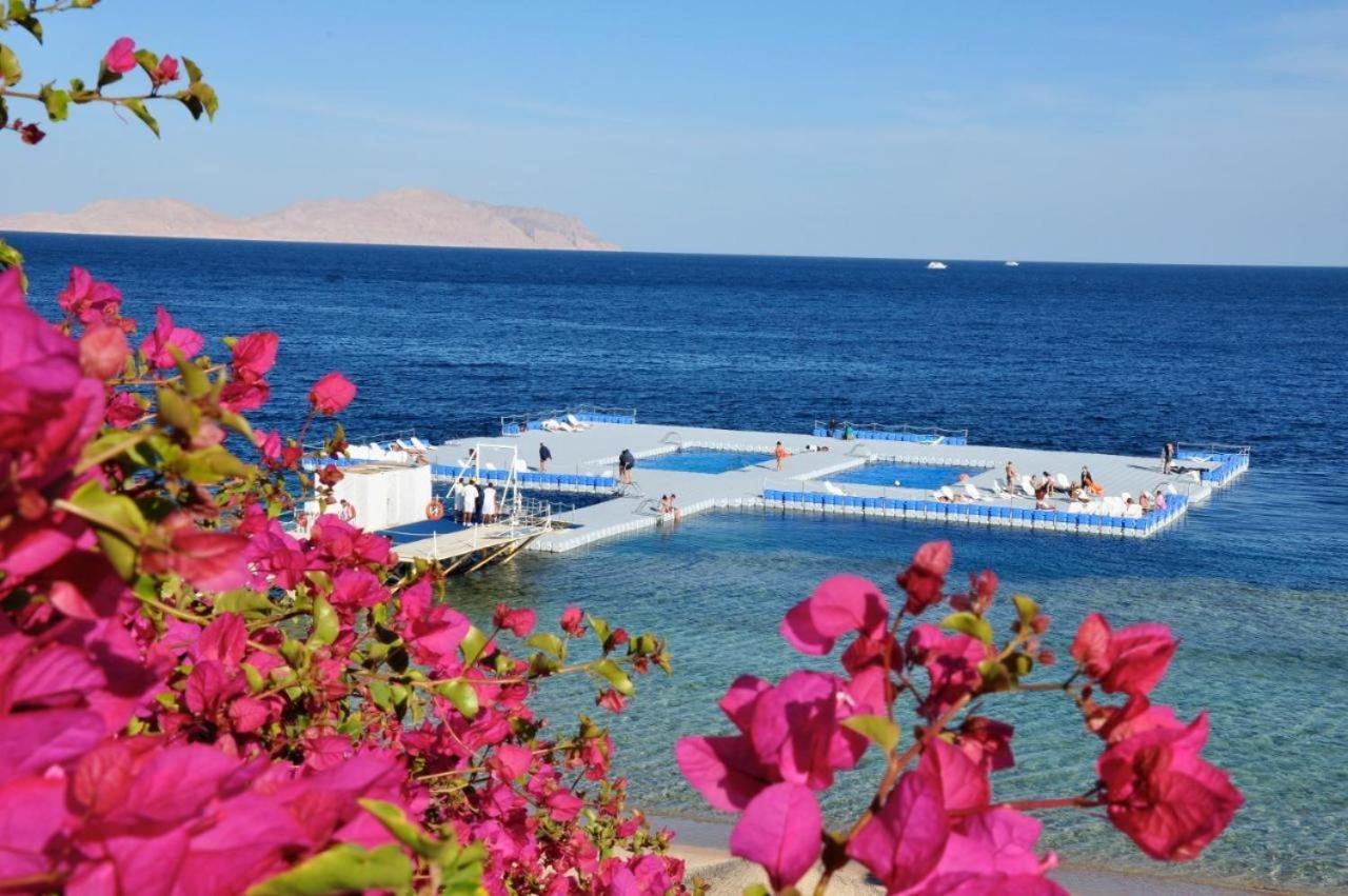 Domina Coral Bay Private Aparthotel
