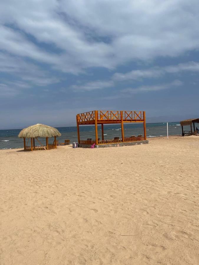 Full Moon Camp Sinai