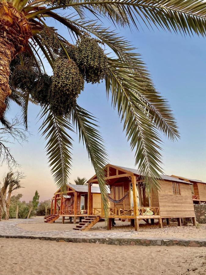 Hotel Big Dune Camp