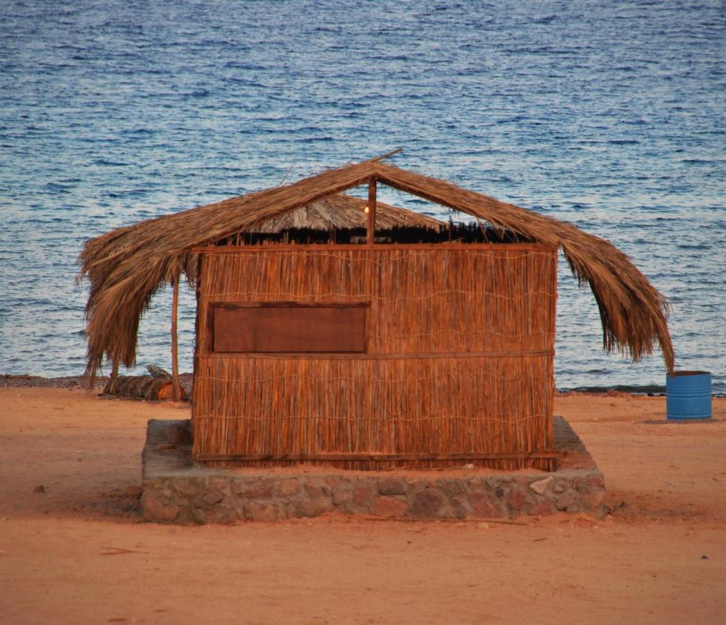New Moon Island Camp