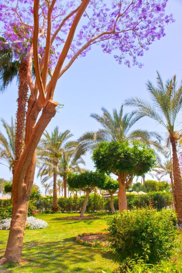 Kefi Palmera El Sokhna - Family Only Resort 3*