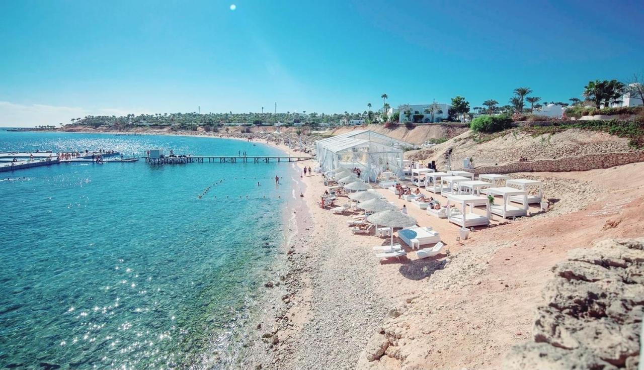 Domina Coral Bay Sultan - Private Sharm El Sheikk