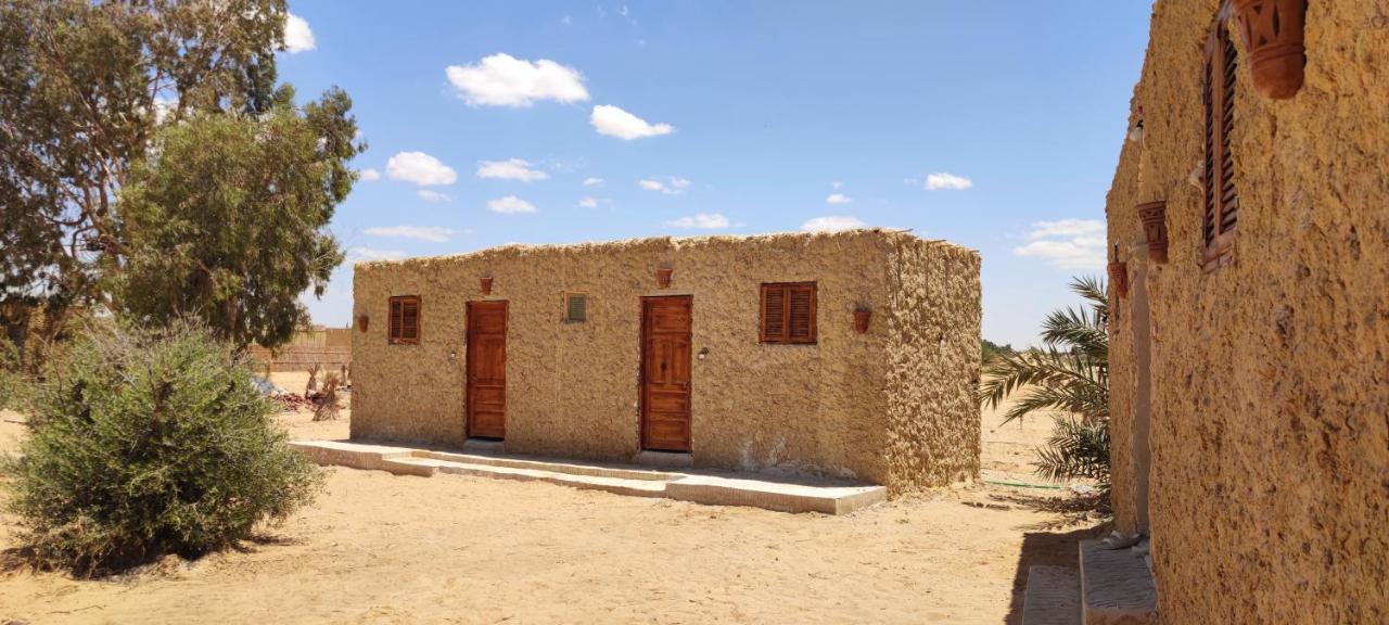Cafour House Siwa - Hot Spring Camping *