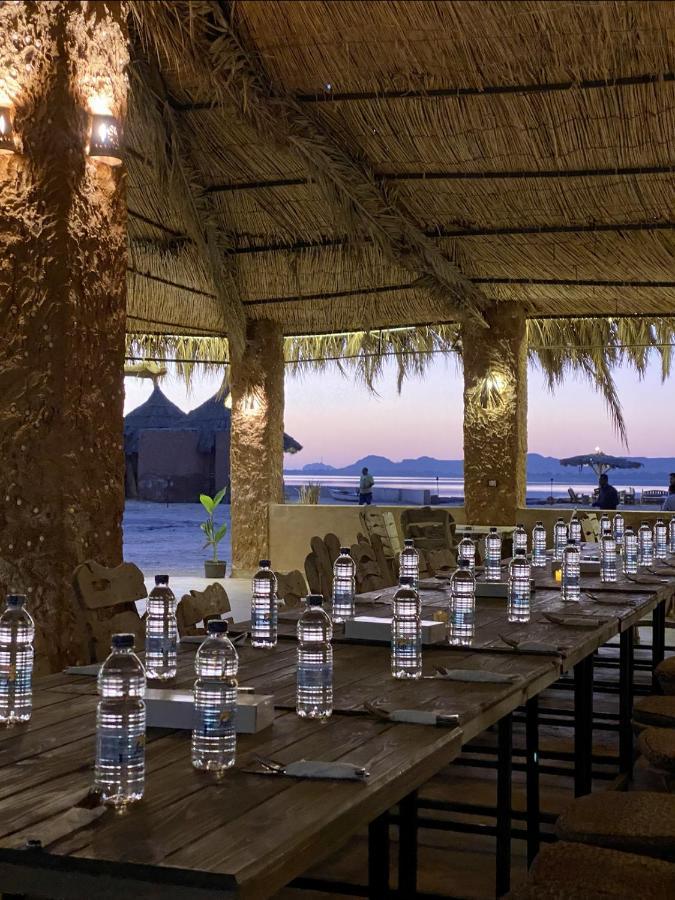 Taghaghien Island * Siwa Oasis