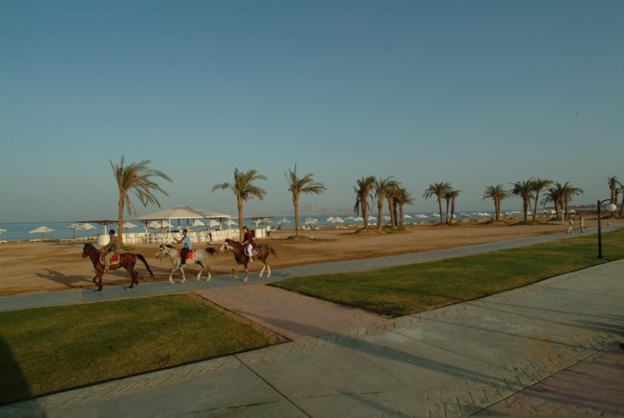 Amarina Sun & Aqua Park 5* Sharm El Sheikk