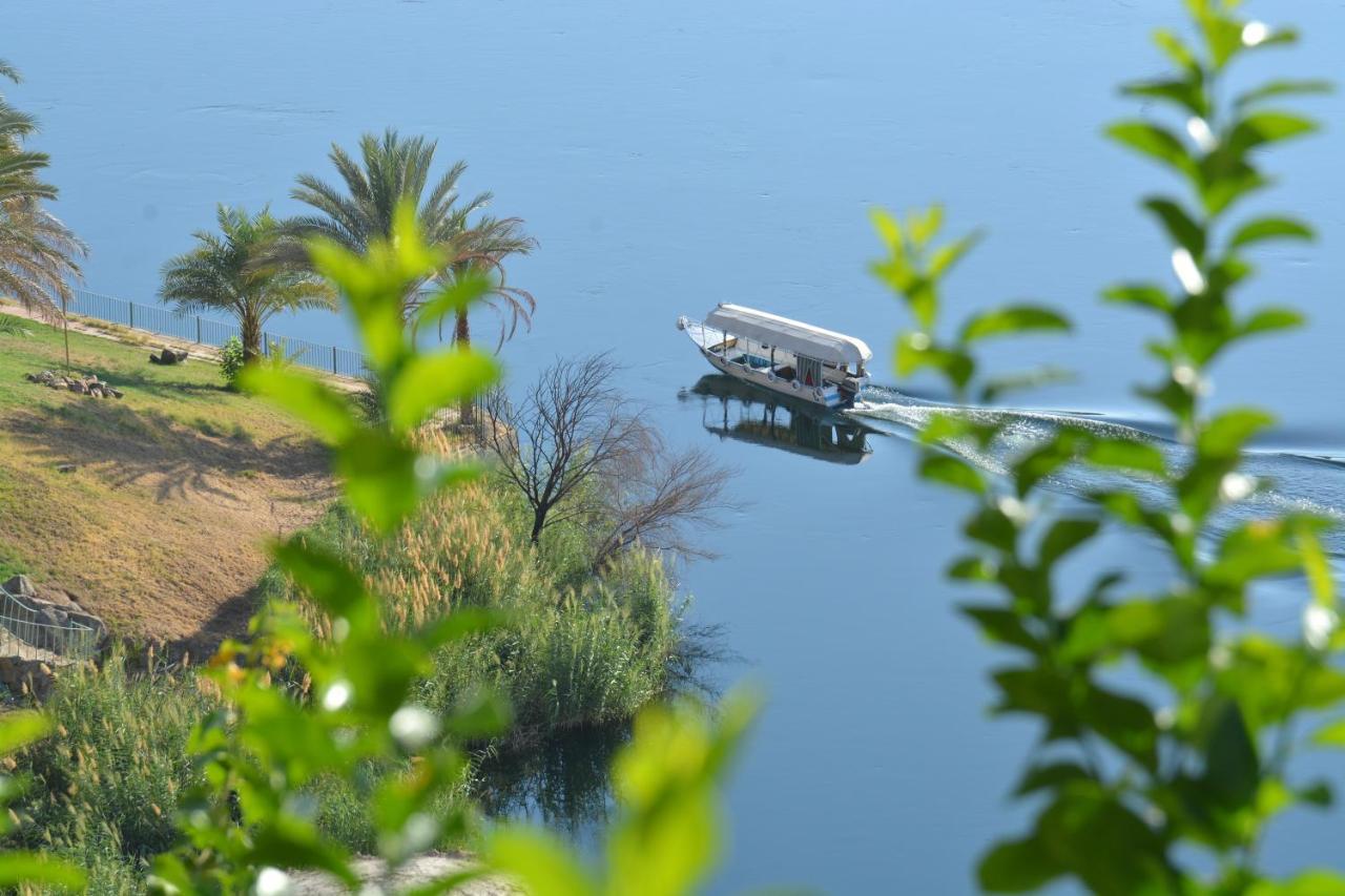 Guest house Nile Palace