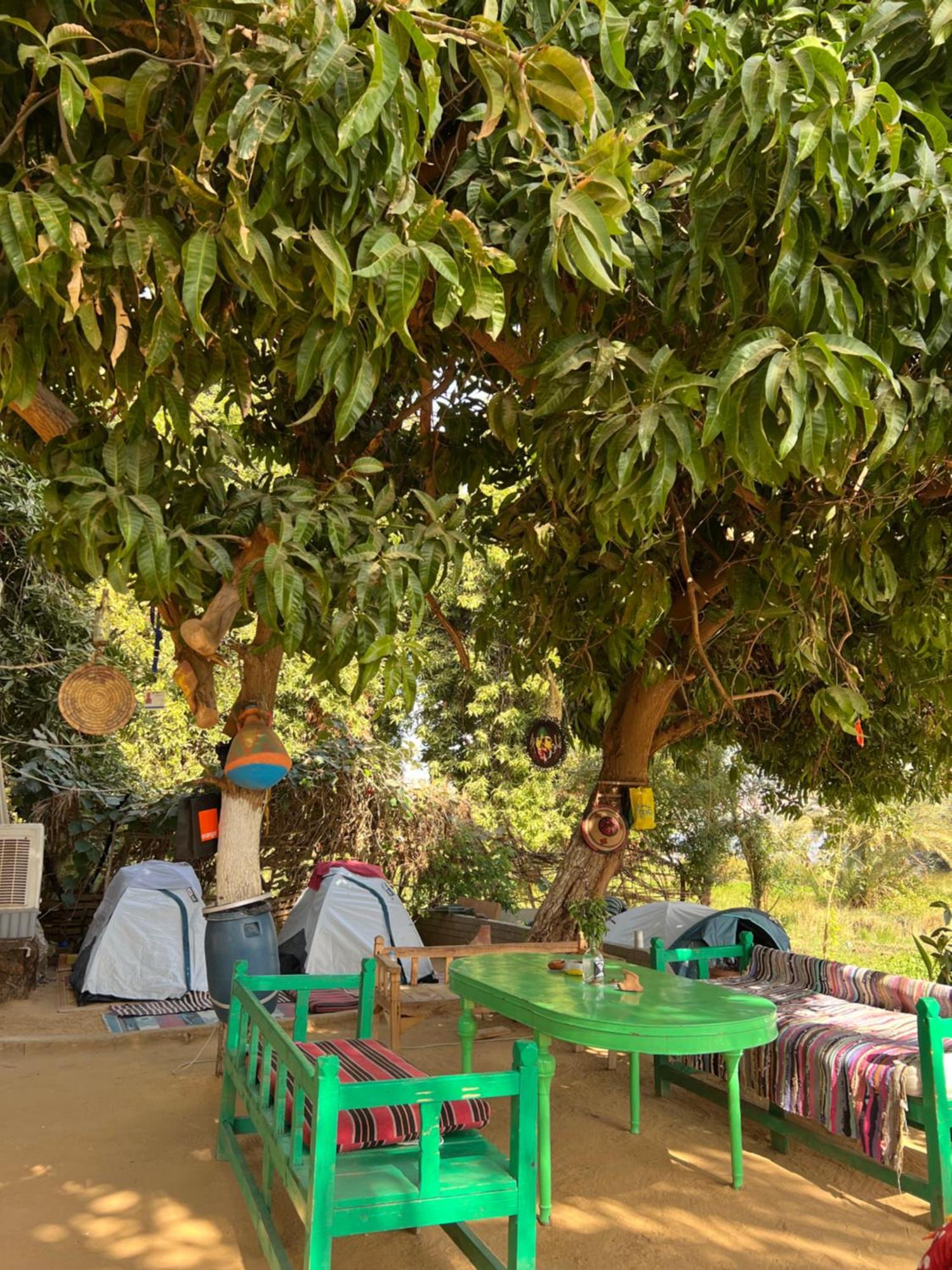 Salatoos Mango Garden And