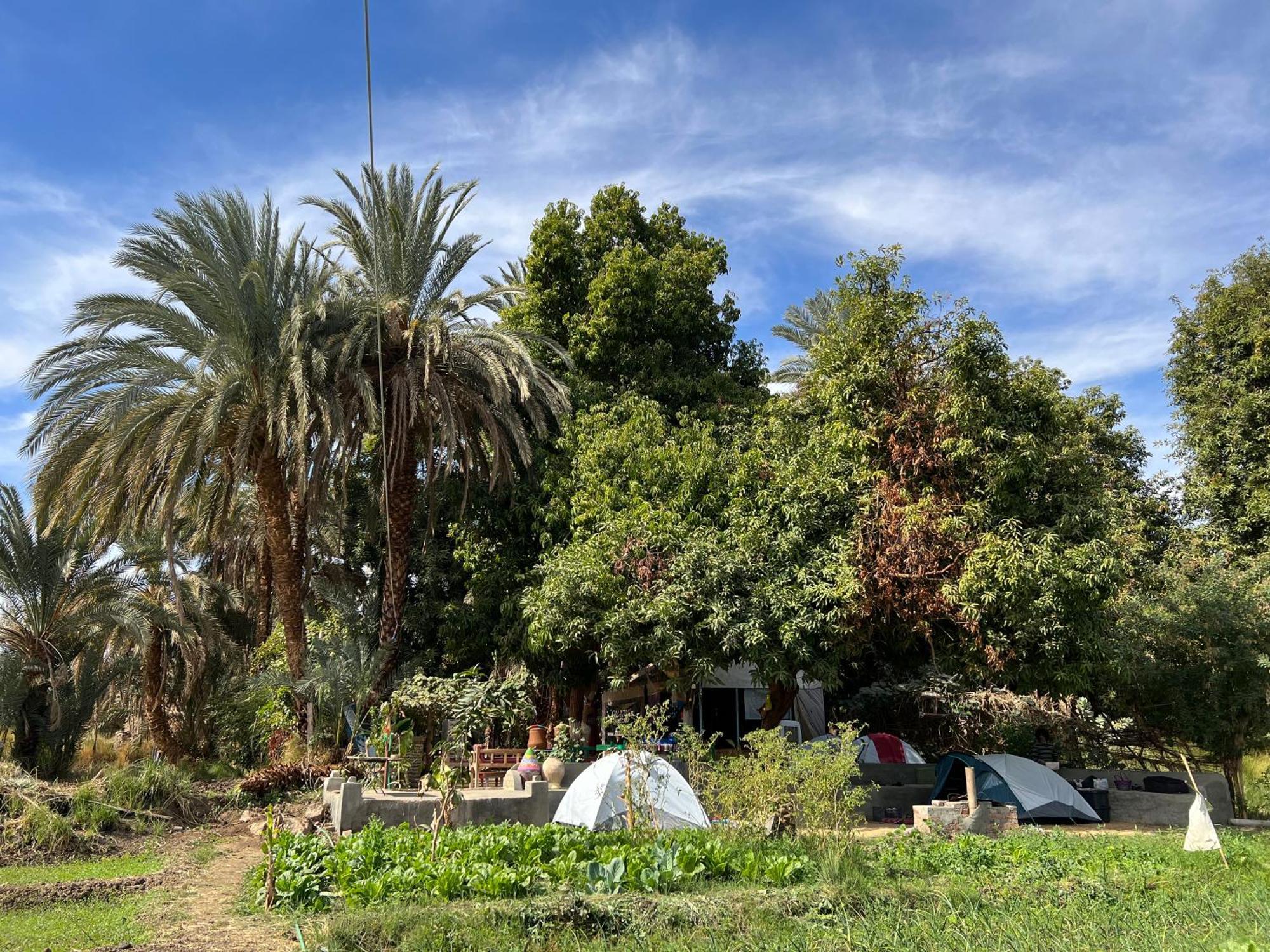 Salatoos Mango Garden And Asvan