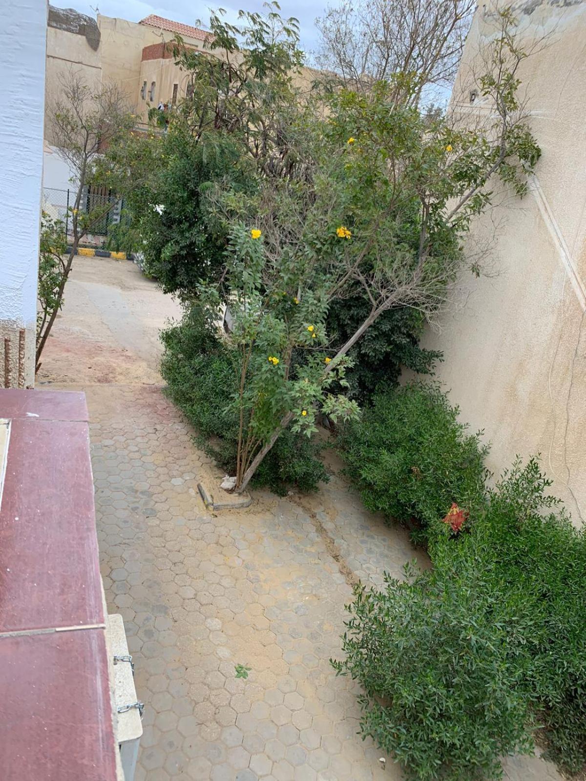 In A Compound With A Rooftop In Sheikh Zayed