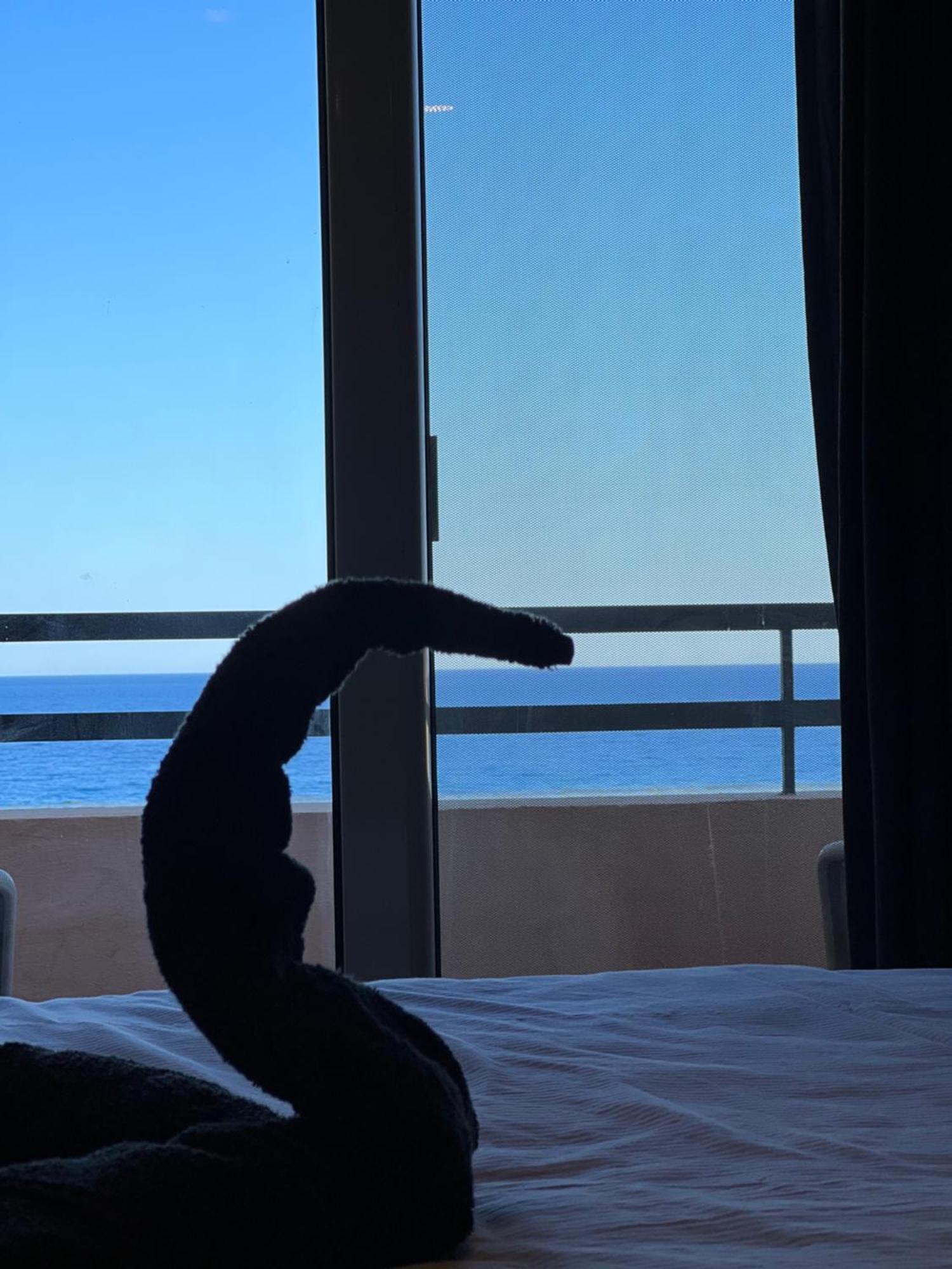 Pousada Kuba Luxus - In Sahl Hashesh-hurghada Hurghada