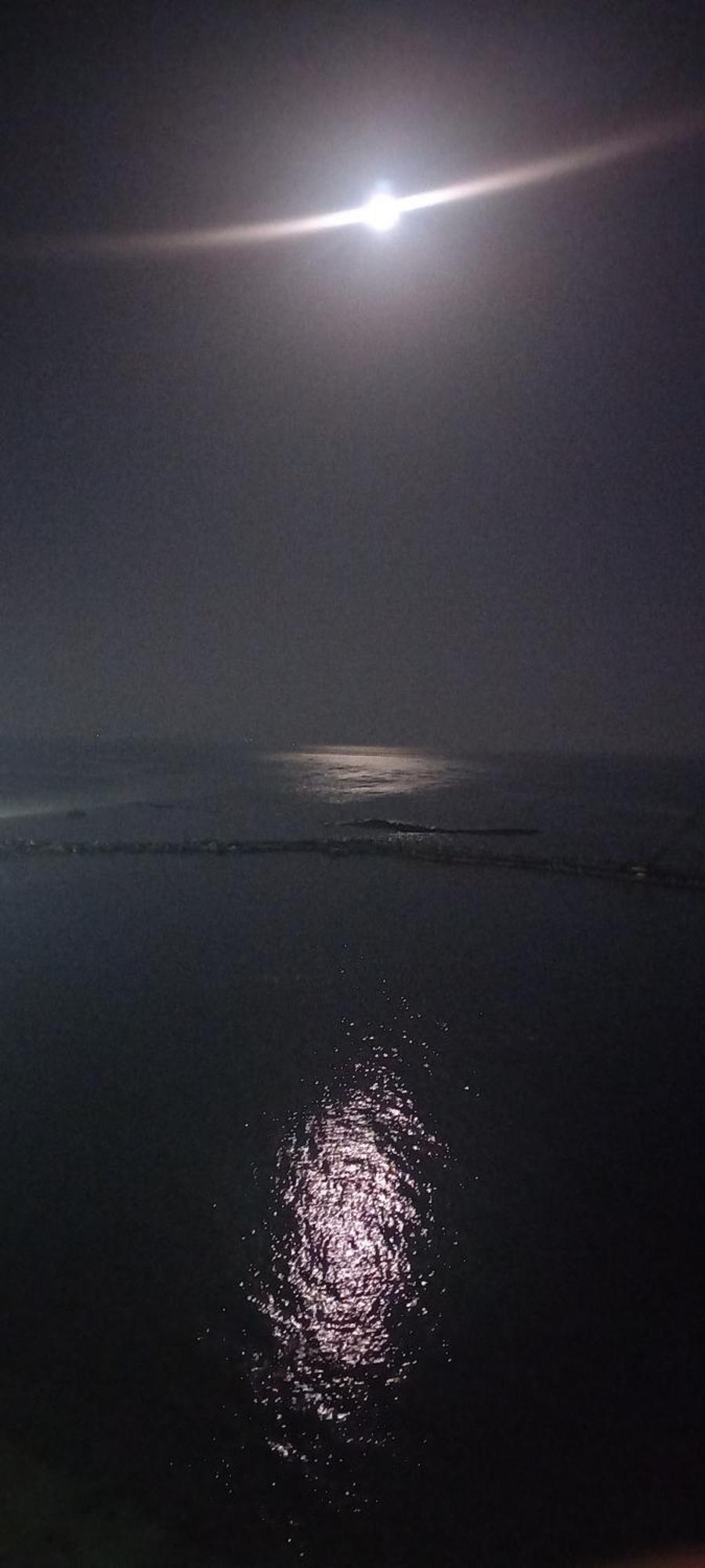 Stunning Sea View Flat * İskenderiye