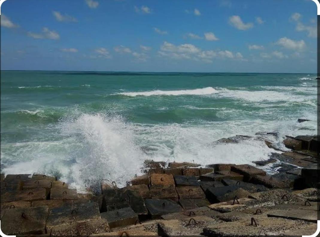 Sun Sea 13 Almoayyed Street Apartment *