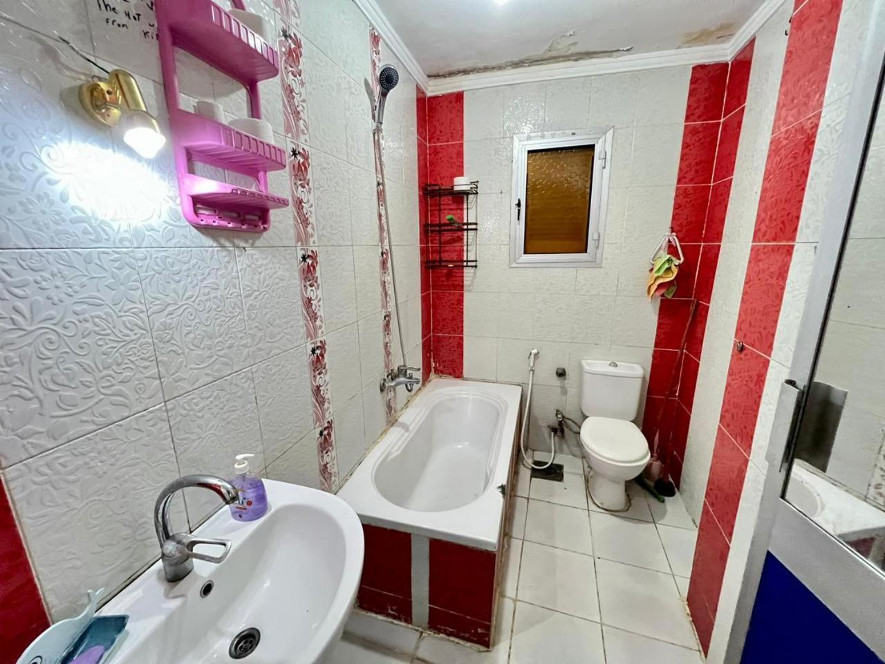 مفروشة لك وحدك قريبة من مكتبة الاسكندرية Apartment