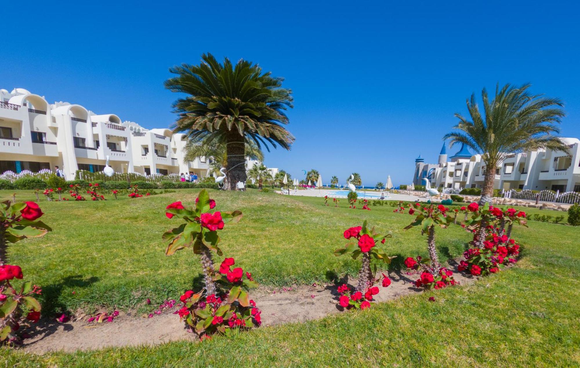 Buki-gravity-homes: Seaview In 5-star Gravity Sahl Hasheesh Apartment *