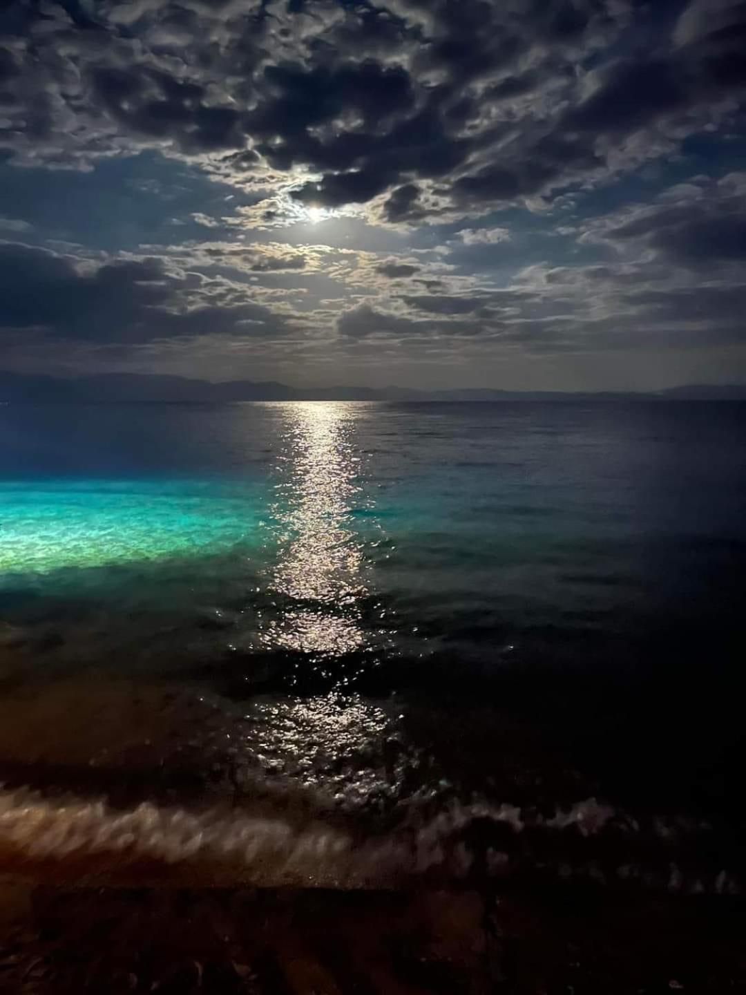 Sea View -sunnydahab Apartment