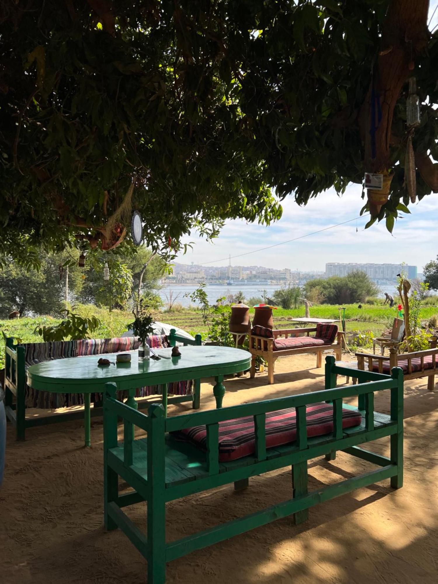 Salatoos Mango Garden And